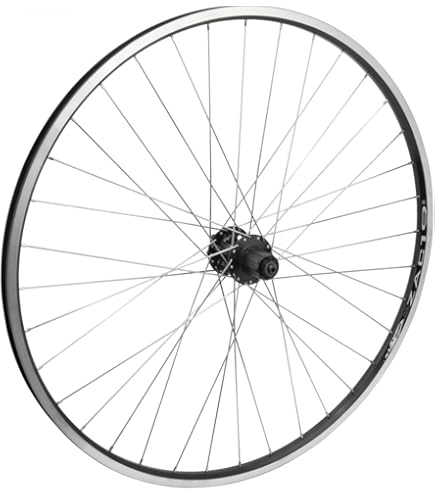 Amazon.com : WM Weinmann Zac19 Rear Wheel, 700x35, 36H, 5/6/7-spd