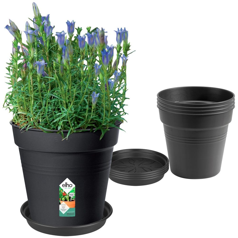 elho Green Basics Grow Pots set - With Saucers - 100% Recycled Plastic - Set of 5 - Ø 17 x H 15.8 cm - Black/Living Black
