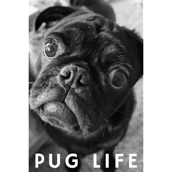 その他 Posh Pups: Dogs Who Live Better Than You Do Posh Pups: Dogs Who Live Better Than You Do: Hochberg, Ilene