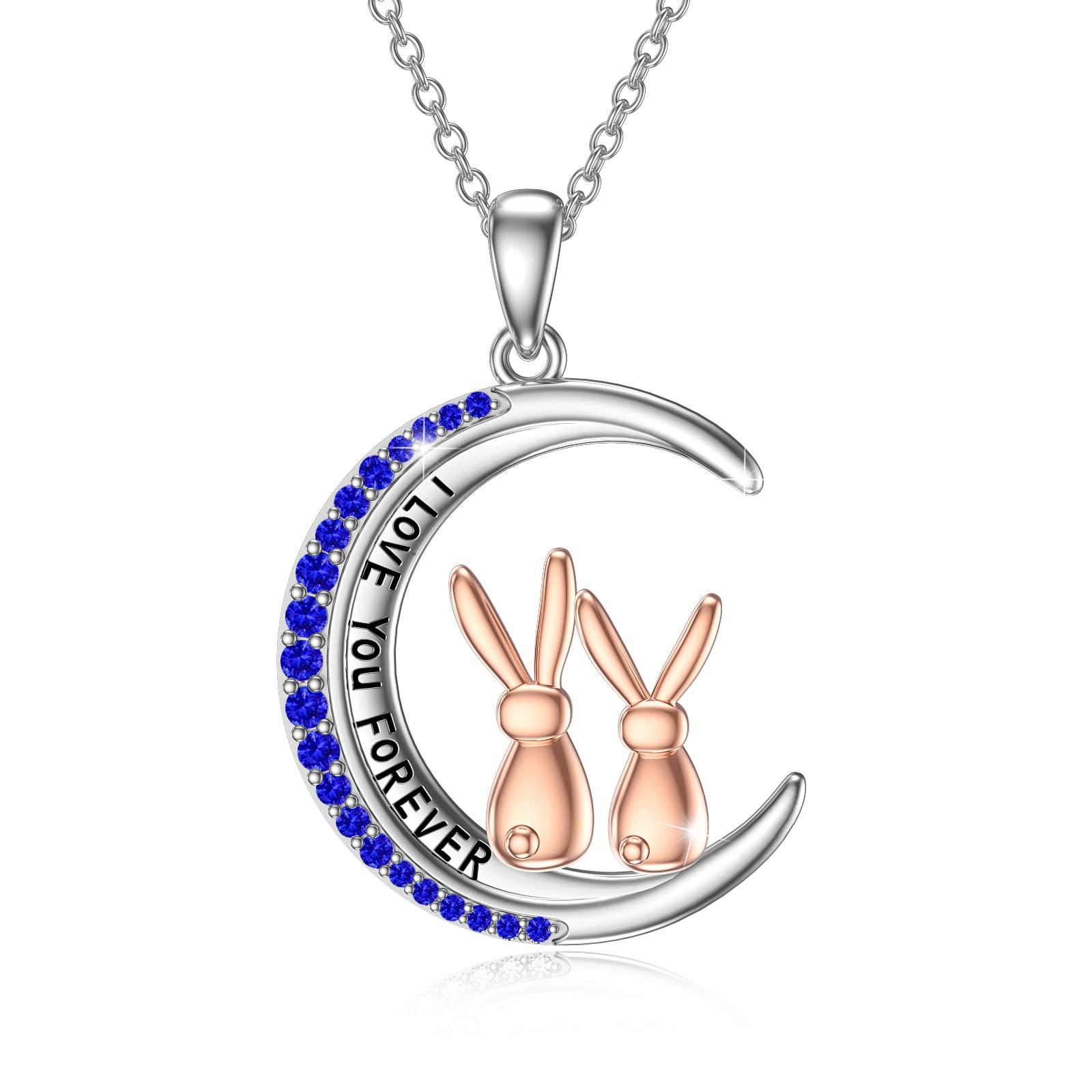 SOESON Bunny Rabbit Necklace 925 Sterling Silver Cubic Zirconia Bunny and Moon Necklace Easter Jewellery Christmas Birthday Gift for Girls Daughter Mom Sisters Wife Friend