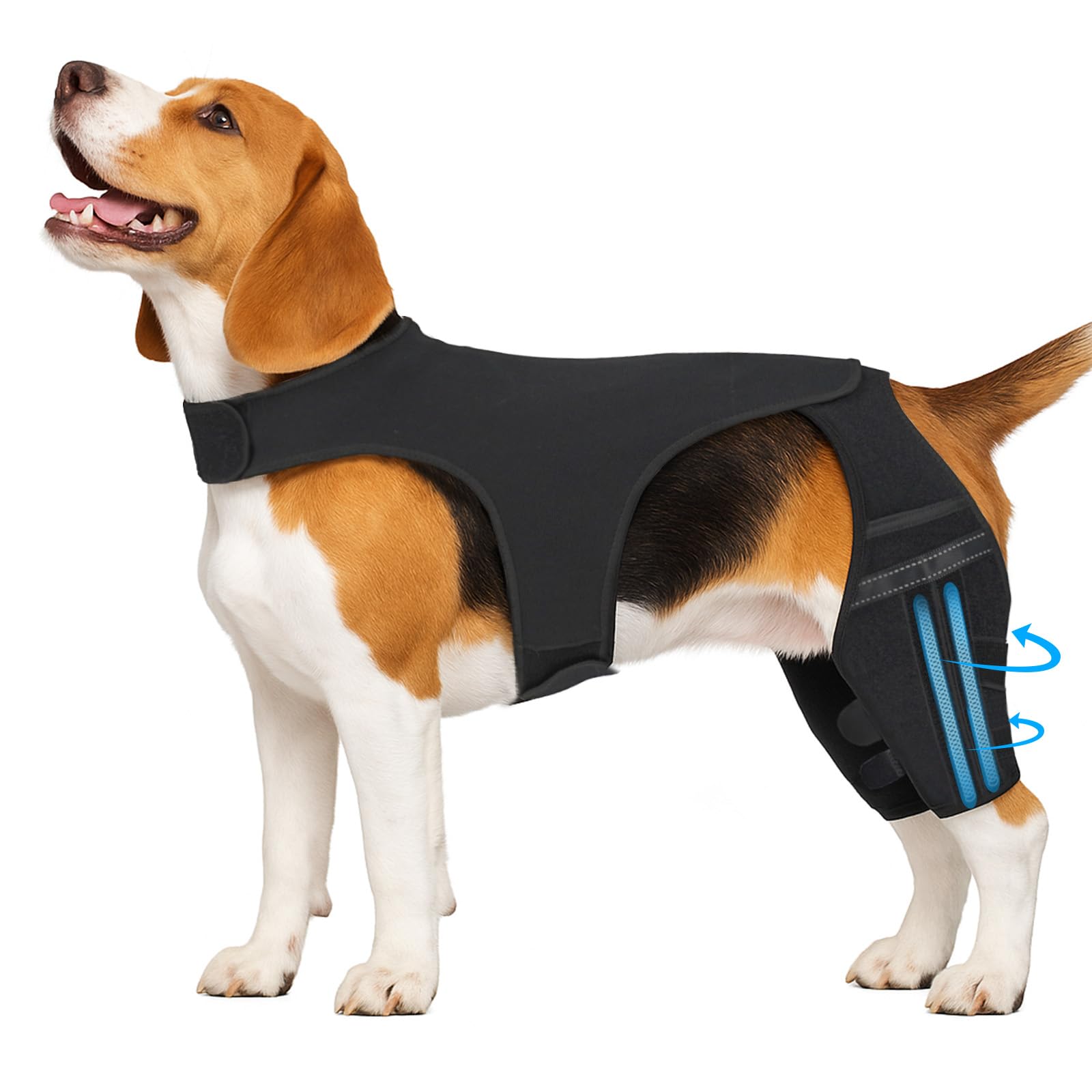 Photo 1 of m--Dog Knee Brace for Torn Acl Hind Leg - Dog Leg Brace to Reduce Pain, Stabilize Joints for Active Dogs - Heavy Duty Adjustable Splint for Walking, Running, Playing Outdoors