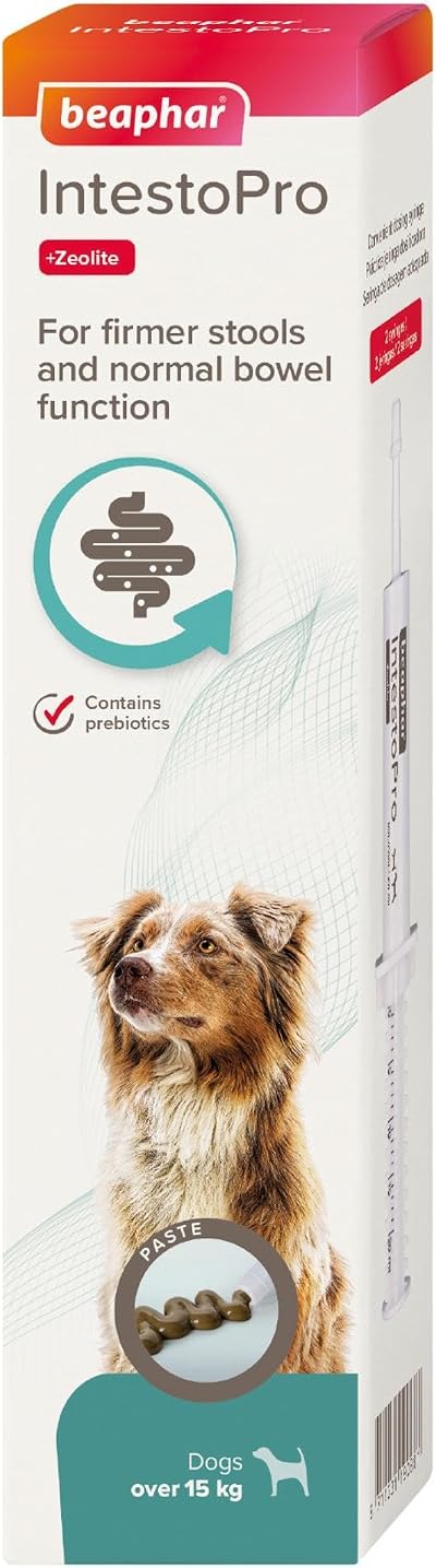 Beaphar IntestoPro Prebiotic Paste for Dogs >15kg 2 x 20ml