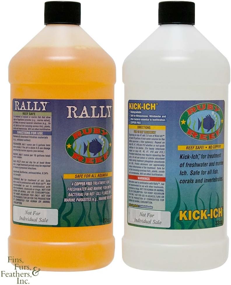 Ruby Reef Kich - ich Rally Combo Pk 320z