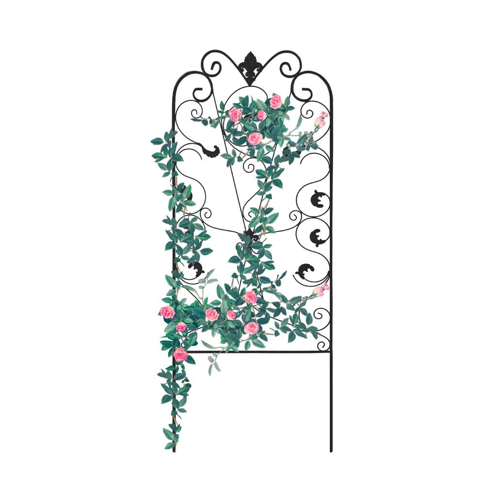 Best Small Trellis For Garden Box