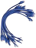 Monoprice Cat6 1ft Blue 12-Pk Patch Cable UTP 24AWG