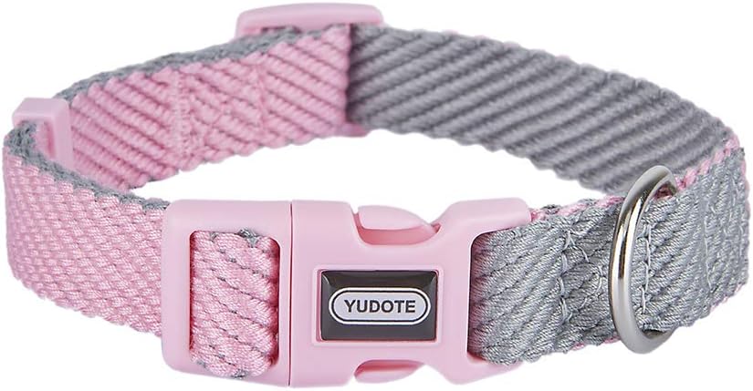 Lightweight puppy collar Clearance