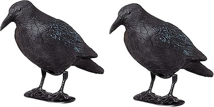 Artecsis Lot De Brema Figurine De Jardin 2x Corbeau Anti Pigeon Et De Decoration Figurine En Plastique Noir Lot De 2 Amazon Fr Jardin