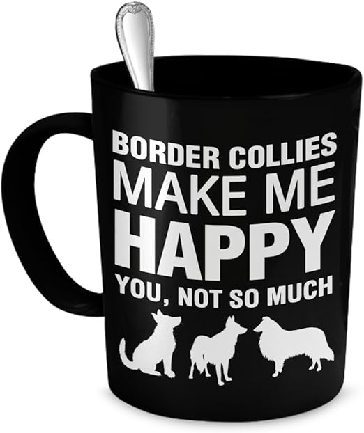 border collie accessories