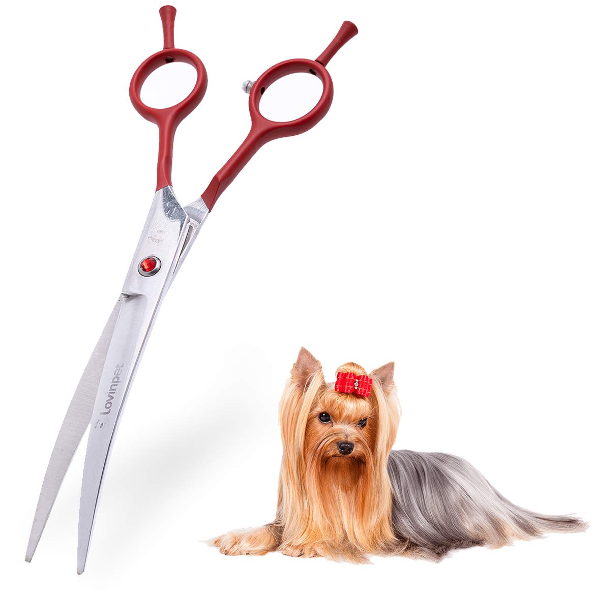 LovinPet Dog Grooming Scissors/6CR grooming Scissors for Dogs/curved Scissors for Dog Grooming/dog Scissors Grooming/left/right-handed Safety Blunt-tip Dog Scissors for Grooming Eyes for Dogs And Cats