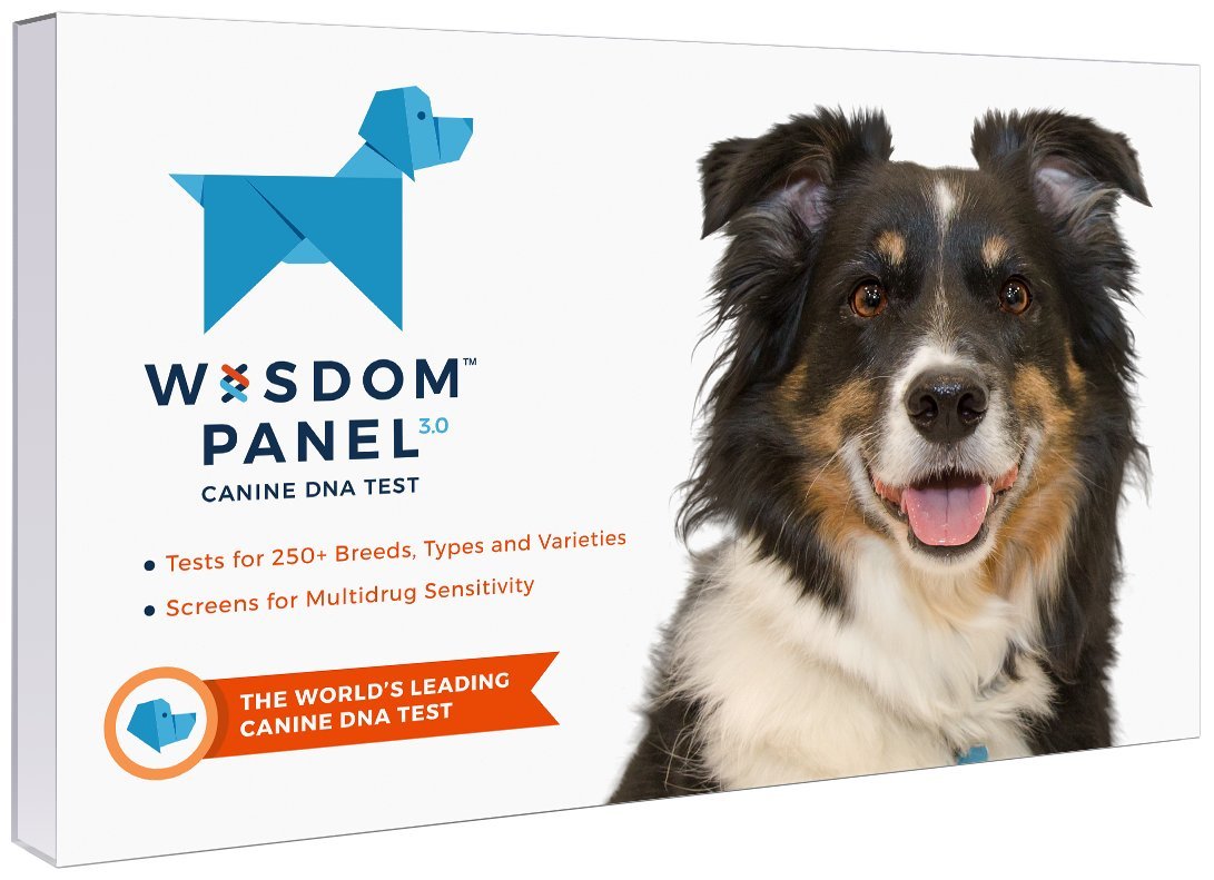 Wisdom Panel 3.0 Breed Identification DNA Test Kit