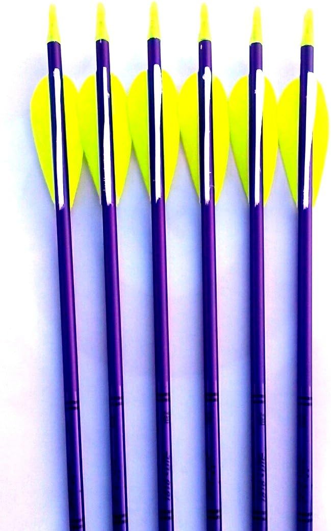 Feather Fletched Easton XX75 Jazz Aluminum Arrows 6-Pack: Sports & Outdoors