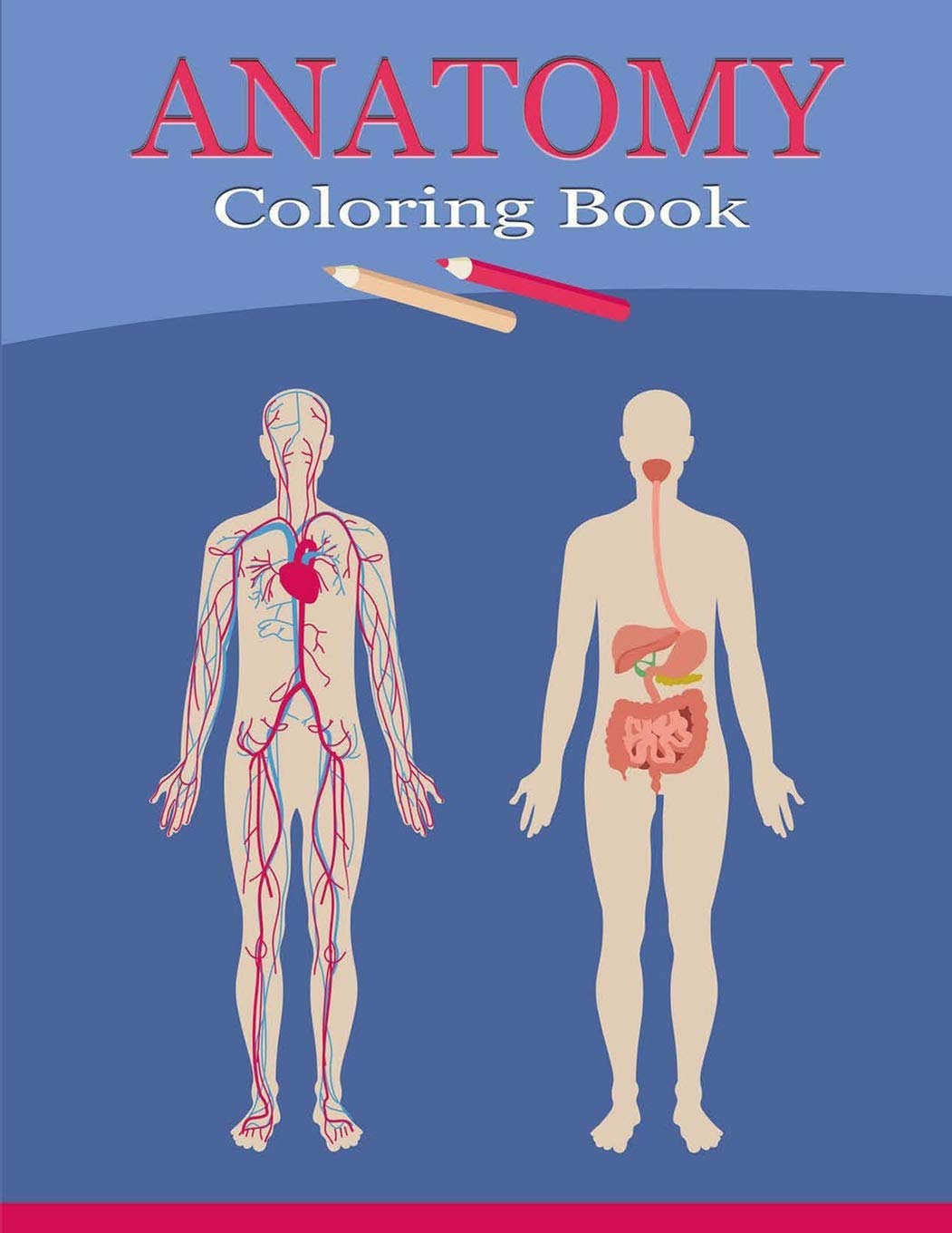 mua-anatomy-coloring-book-anatomy-and-physiology-coloring-book