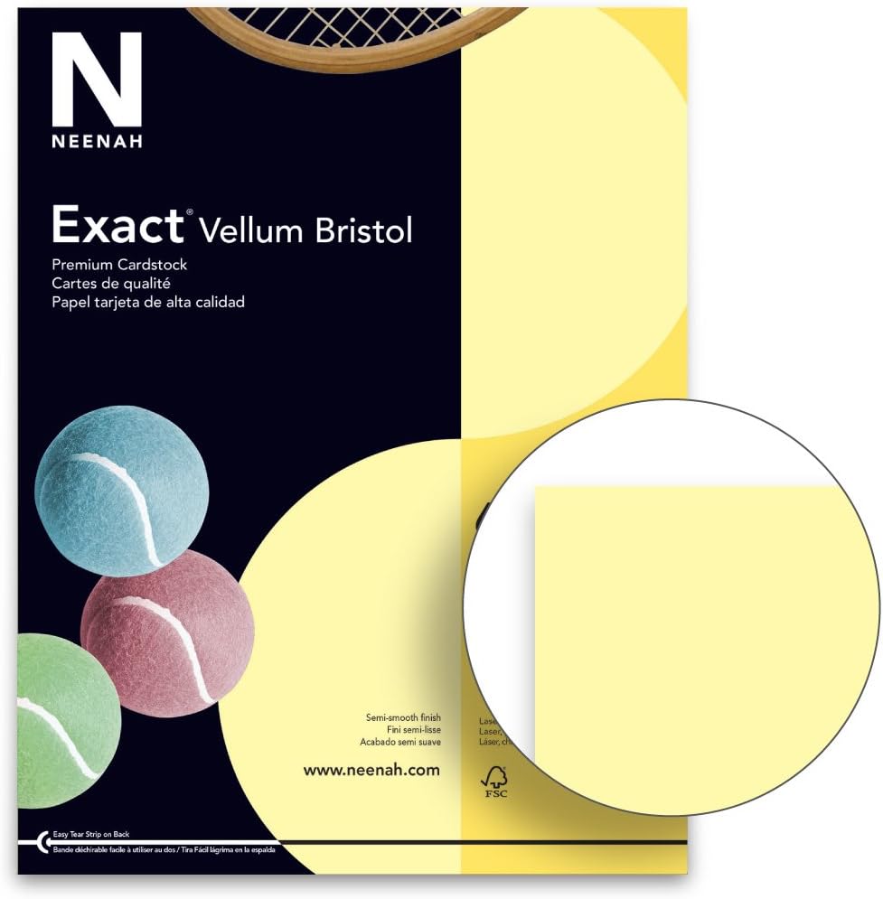 Exact Vellum Bristol, 8.5" x 11", 67 lb/147 GSM, White, 94 Brightness, 250 Sheets (80218) : Cardstock Papers : Office Products