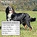 Dr. Mercola Gentle Dental Chew Bones - 12 Pack - Large Dogs 25 lbs and Up - Helps Clean Teeth and Freshen Breath - A Completely Digestible Tasty Oral Care Treat for Older Dogs