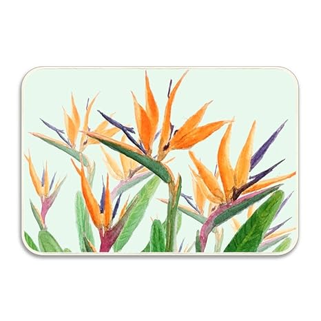Amazon Com Watercolor Print Camping Door Mat Entrance Floor Mats