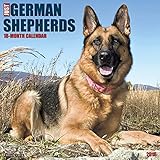 2016 Just German Shepherds Wall Calendar