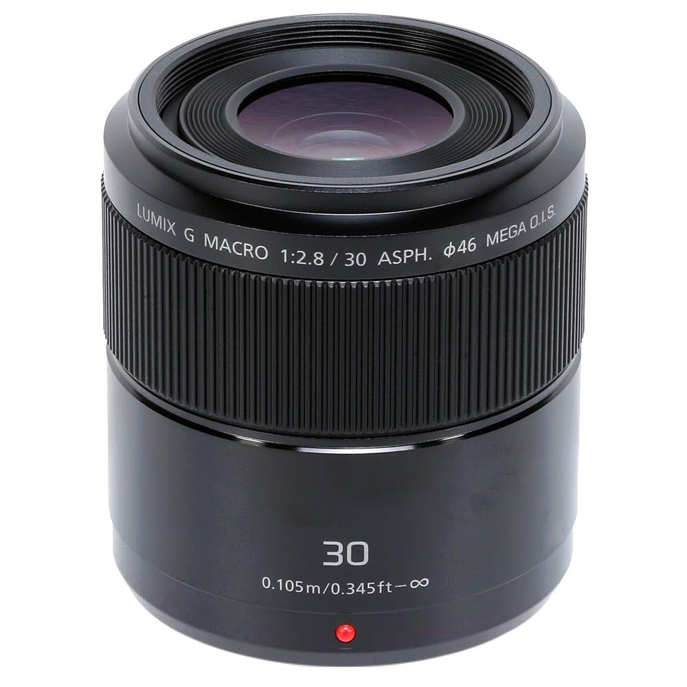 Panasonic LUMIX H-HS030E 30 mm Macro Camera Lens - Black