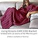 Living Dreams Air Merino Super Bulky Chunky Wool Yarn. Thick Pencil Roving Yarn for Needle Knitting and Crochet. Made in USA, Ruby