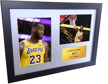 lebron james signed lakers