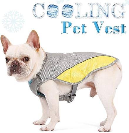safety vest for small dogs
