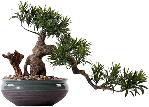 Amazon Com Artificial Bonsai Tree Welcome Bonsai Chinese Artificial Bonsai Artificial Cedar Jewelry Hotel Office Corridor Artificial Green Plant Porch Corner Art Soft Ornament Artificial Tree Artificial Plant Home Kitchen