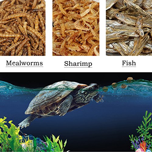 750ml Aquatic Turtle Food High Protein Dried Mealworms Bulk Freeze
