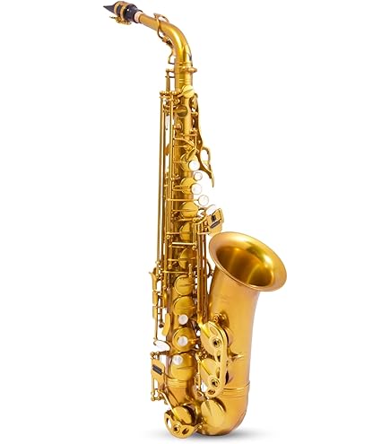 Amazon.com: BetterSax Classic Alto Saxophone - Professional-Grade