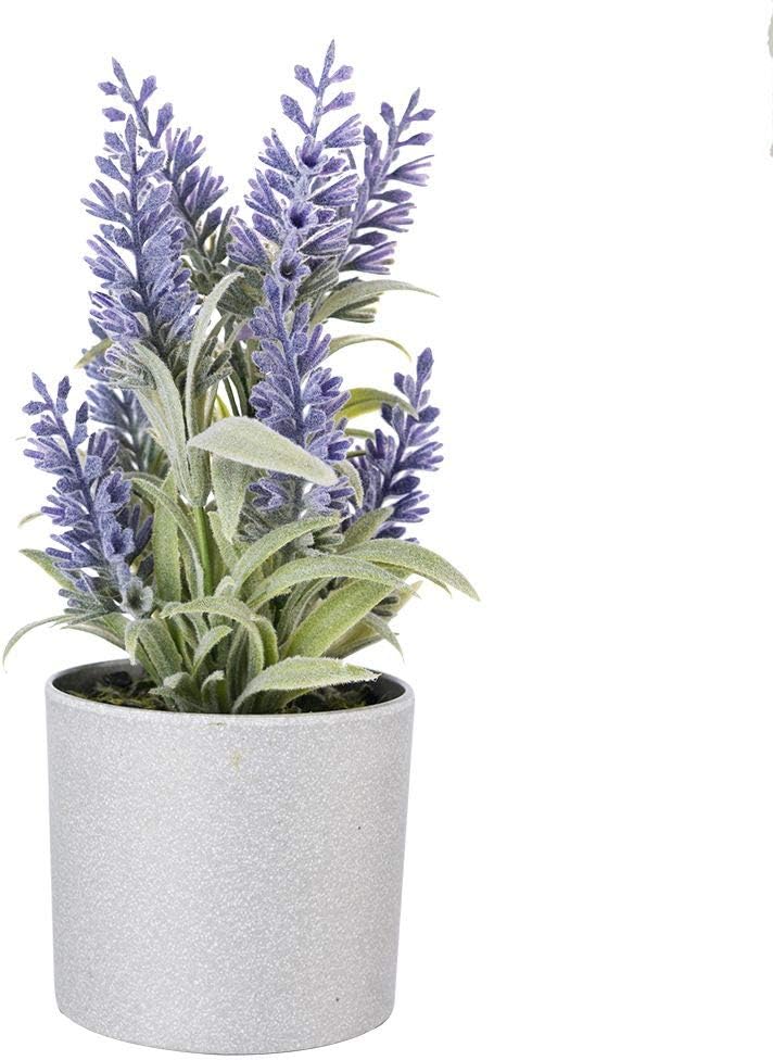 EBUYOM Mini Artificial Lavender Flowers Floral Arrangements Faux Plants Flower Potted Plants Home Office Decoration Wedding Decor