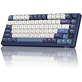 RK ROYAL KLUDGE M75 Wireless Mechanical Keyboard w/Screen and Volume Knob, 2.4G/USB-C/BT Gasket Mounted 75% Gaming Keyboard w