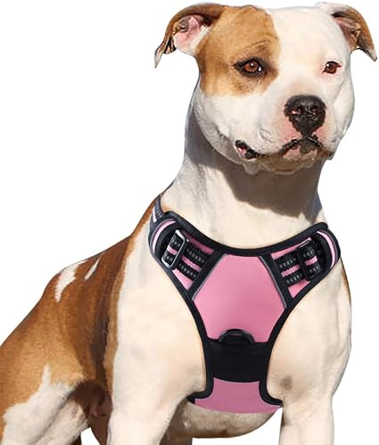 Eagloo Harnais Chien Anti Traction Harnais Pour Chien Facile à Mettre Harnais Classique Avec 2 Anneaux En Métal Harnais Réfléchissant Bouledogues