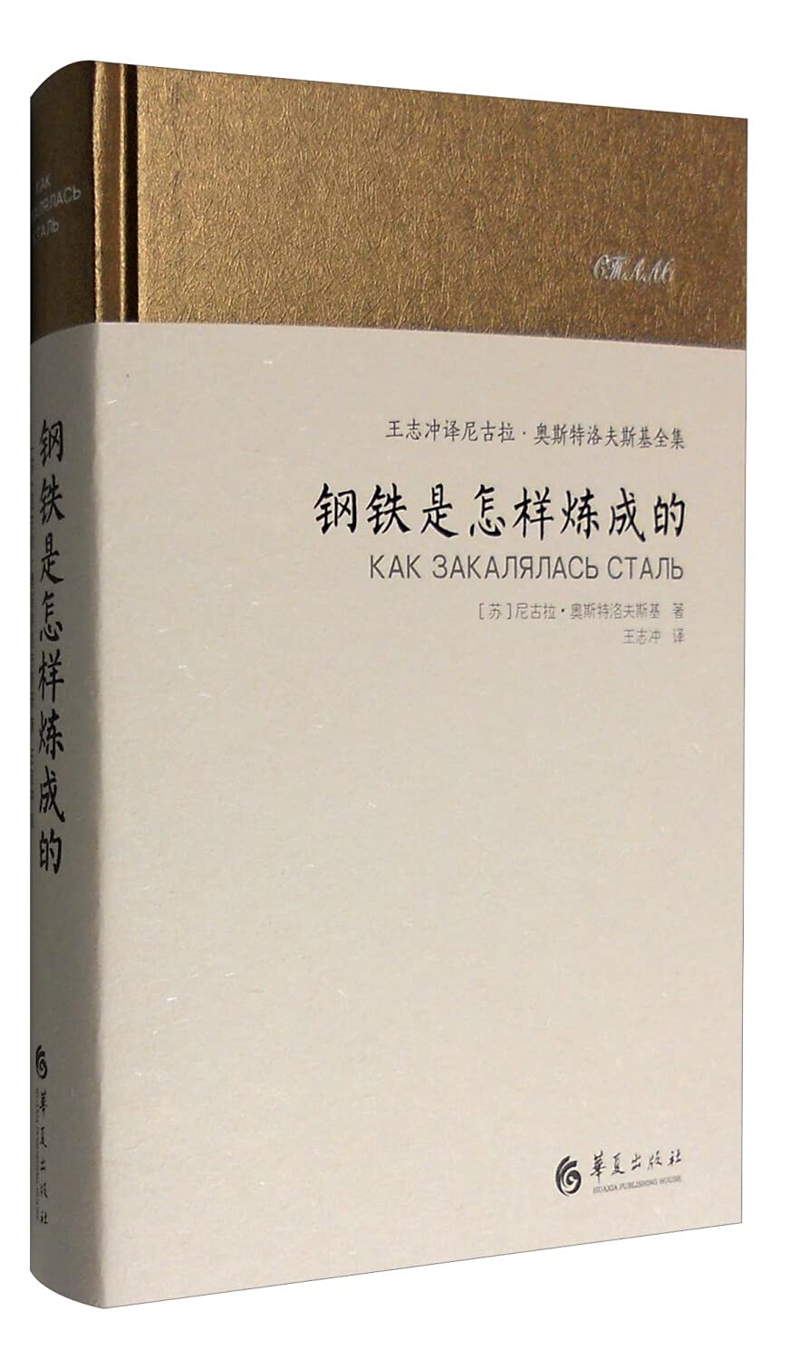 钢铁是怎样炼成的 王志冲译尼古拉 奥斯特洛夫斯基全集 精 Su Ni Gu La Ao Si Te Luo Fu Si Ji Zhu 9787508088167 Amazon Com Books