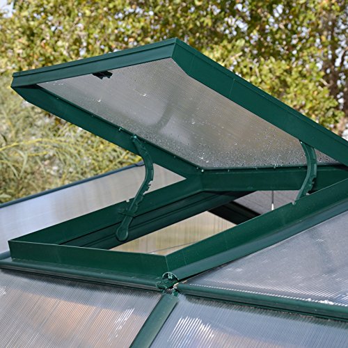 Rion Palram - Canopia Hobby Gardener 8' x 8' Greenhouse - Thumbnail 4