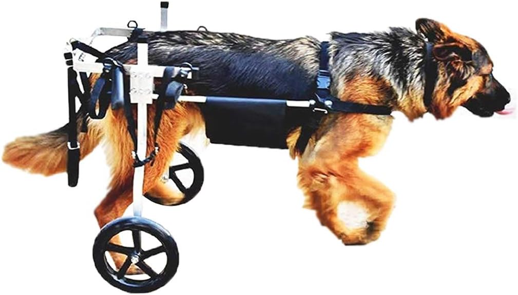 KHUY Walking Wheels Wheelchair for Medium Large Dogs Pet Cart Walkin