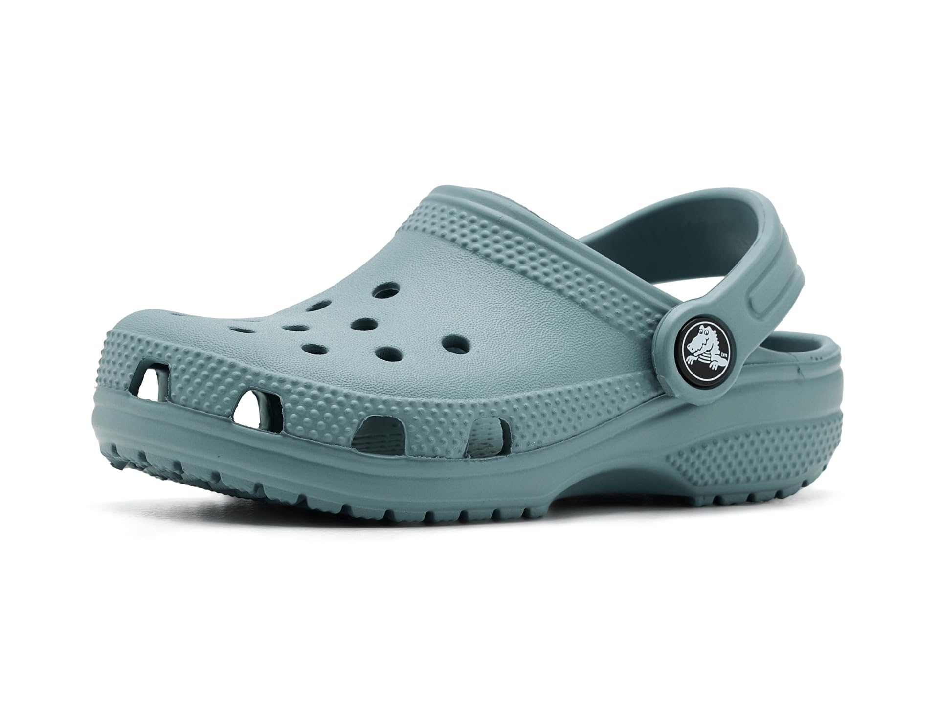 Crocs Unisex-Child Classic Clogs (Toddler) Pond 10 Medium Image