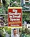 Big Gardens in Small Spaces: Out-of-the-Box Advice for Boxed-in Gardeners by Martyn Cox