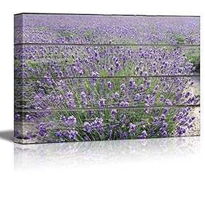Canvas Wall Art - Purple Lavender Field on Vintage Wood Textured Background - Rustic Country Style Modern Giclee Print Gallery Wrap Home Art Ready to Hang - 12" x 18"