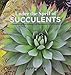 Under the Spell of Succulents: A Sampler of the Diversity of Succulents in Cultivation by 