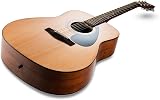 Yamaha F310 Full Size Steel String Acoustic Guitar Natural view 2