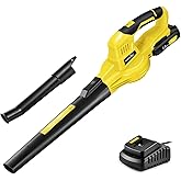 SnapFresh Leaf Blower Cordless - 20V Electric Leaf Blower with 2.0Ah Battery & Charger, Lightweight 2-Speed Leaf Blowers for 