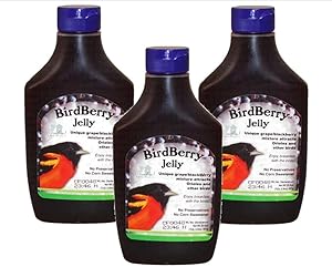 Songbird Essentials 3 Each BirdBerry Jelly, 20 oz., SE6010 Oriole