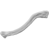 Clavicle Bone Model - Right - Anatomically Accurate Human Clavicle Bone Replica - hBARSCI
