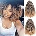 3pcs/Pack 10'' Afro Kinky Twist Hair Crochet Braids Ombre Blue Braiding Hair Synthetic Marlybob Curly Crochet Hair Pieces (T1B/BLUE)