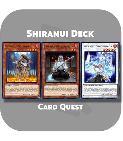Amazon.com: Complete Custom Deck for Yu-Gi-Oh!