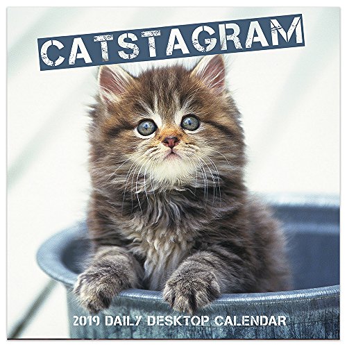 2019 Catstagram Daily Desk Calendar by 