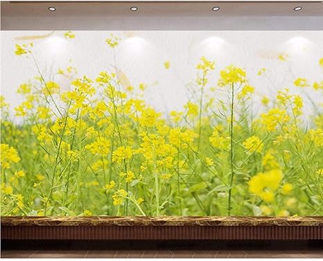 Amazon Co Jp Wuyyii カスタム壁紙シンプルな小さな新鮮な菜の花フラワーガーデンの背景リビングルームの寝室のテレビのソファの背景3dの 壁紙 280x0cm Diy 工具 ガーデン