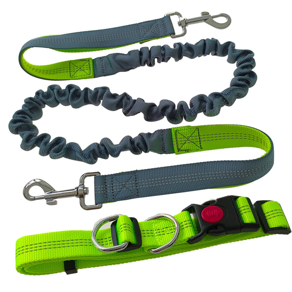 Aiqeer Hands-Free Dog leash, Green Adjustable Waist Belt and Grey Retractable Bungee leash