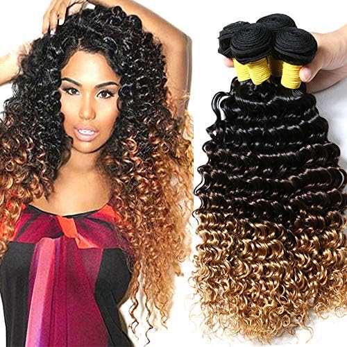 Hairitory 8A Ombre Peruvian Deep Wave Virgin Human Hair Extensions 4 Bundles Wet And Wavy Hair Water Wave Deep Curly Weave Human Hair(20 22 24 26,T1B-4-27)