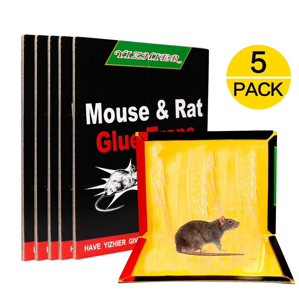 How To Get Rid Of Mice In Detached Garage Dandk Organizer