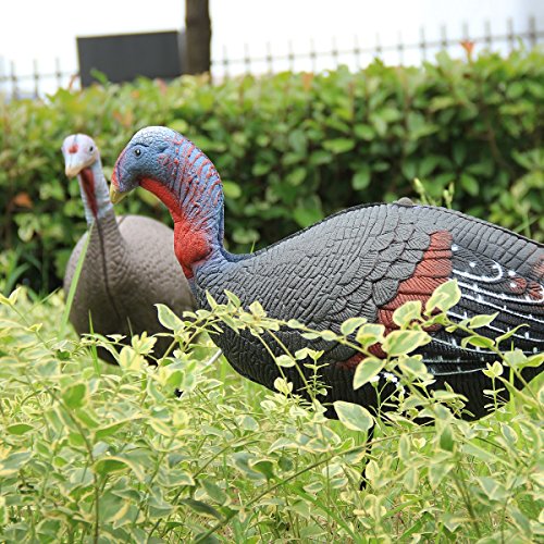 image for TargetEvo 2 Pack Jake & Hen Turkeys Decoy for Hunting with Stakes Carr