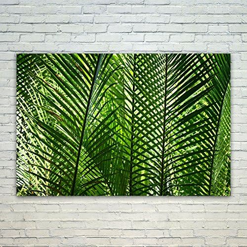 Westlake Art Fern Plant - 12x18 Poster Print Wall Art - Modern Picture Photography Home Decor Office Birthday Gift - Unframed 12x18 Inch (BC78-2D0EC)